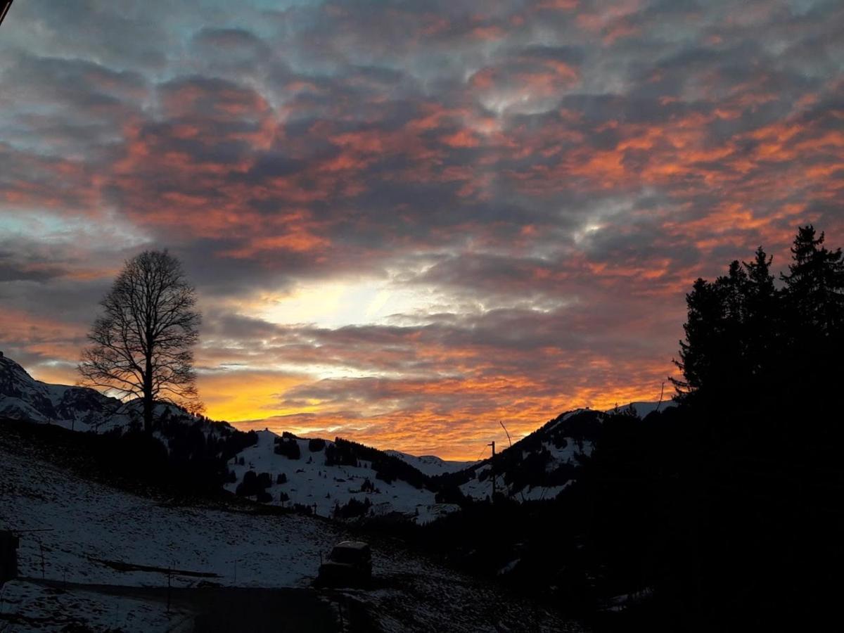 Bed and Breakfast Ferien In Der Bergwelt Von Adelboden Exterior foto