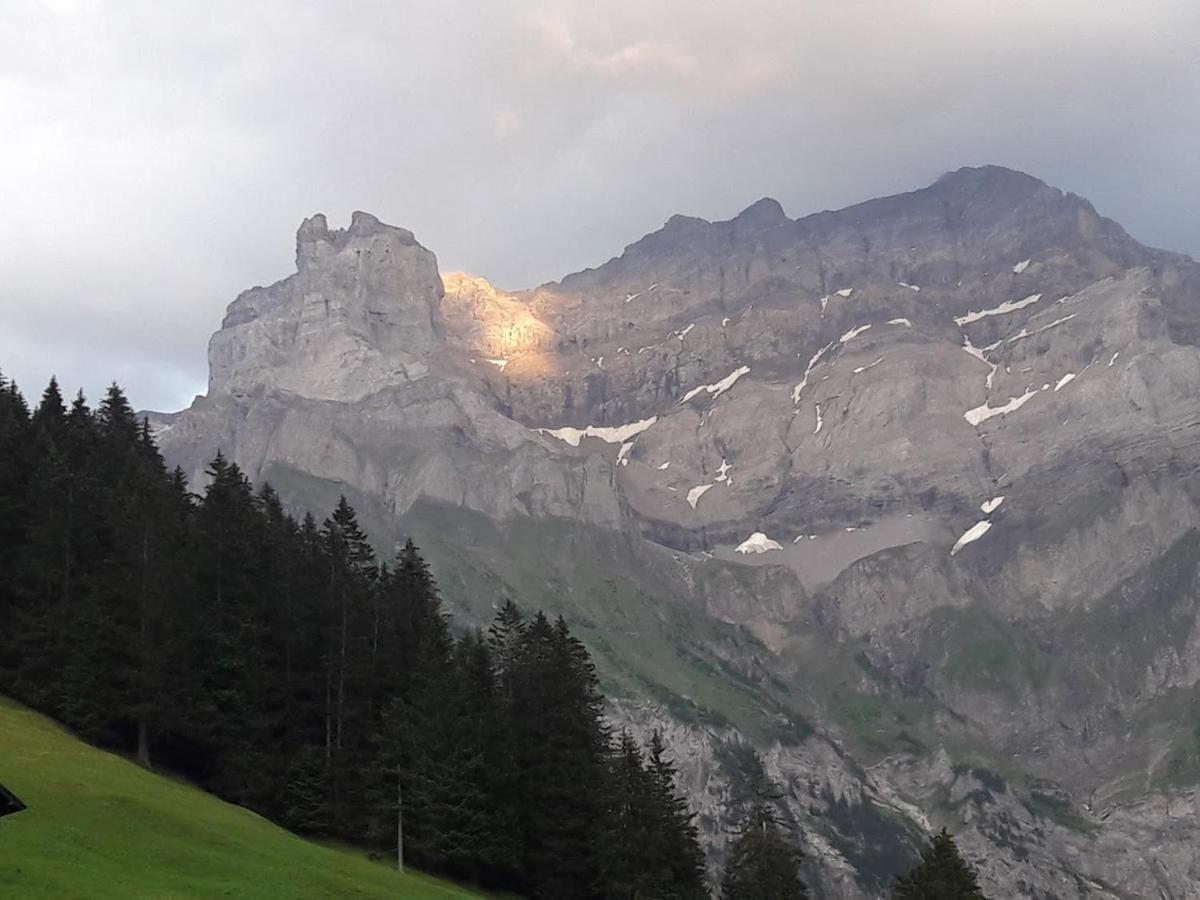 Bed and Breakfast Ferien In Der Bergwelt Von Adelboden Exterior foto