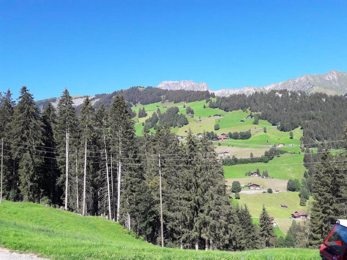 Bed and Breakfast Ferien In Der Bergwelt Von Adelboden Exterior foto
